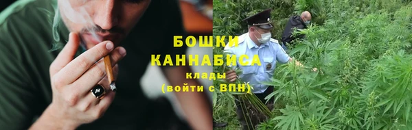 гашик Бикин