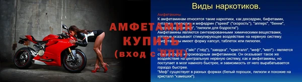 сатива Магас