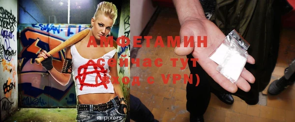 сатива Магас