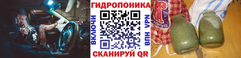 KRAKEN хочу Новоуральск Конопля план